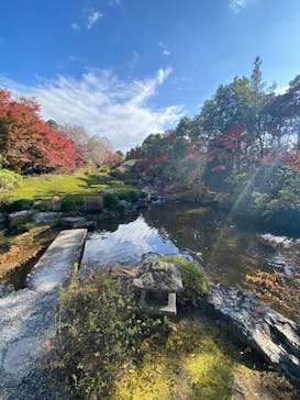 宗教法人退蔵院に投稿された画像（2024/12/10）