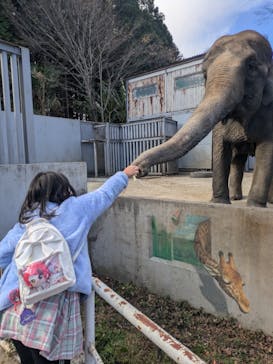 宇都宮動物園に投稿された画像（2024/12/10）