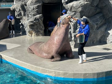 鴨川シーワールドに投稿された画像（2024/12/10）