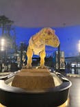 福井県立恐竜博物館に投稿された画像（2024/12/10）