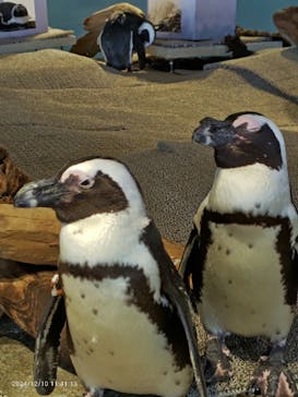 NIFREL（ニフレル）に投稿された画像（2024/12/10）