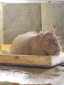 NIFREL（ニフレル）に投稿された画像（2024/12/10）