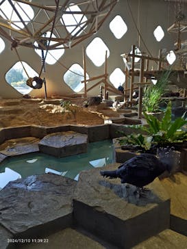 NIFREL（ニフレル）に投稿された画像（2024/12/10）