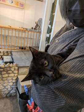 おさるの湯もみ処　おさ湯に投稿された画像（2024/12/10）