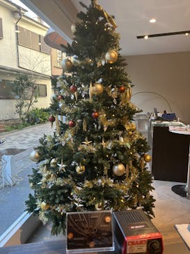 アカネス東京に投稿された画像（2024/12/10）