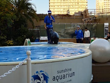 サンシャイン水族館に投稿された画像（2024/12/10）