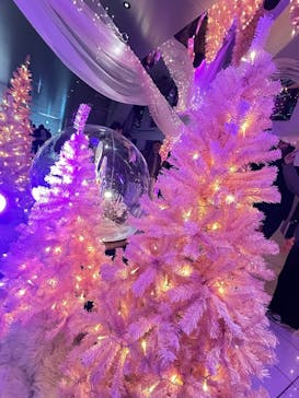 梅田スカイビル・空中庭園展望台に投稿された画像（2024/12/10）