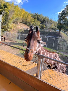 しろとり動物園に投稿された画像（2024/12/10）