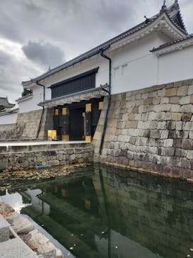 元離宮二条城に投稿された画像（2024/12/10）