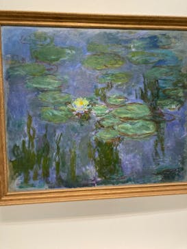 モネ 睡蓮のとき（国立西洋美術館）に投稿された画像（2024/12/10）