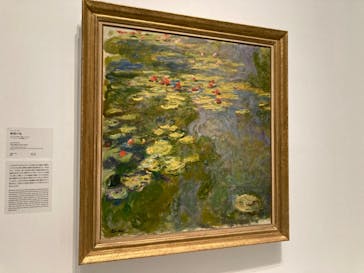 モネ 睡蓮のとき（国立西洋美術館）に投稿された画像（2024/12/10）