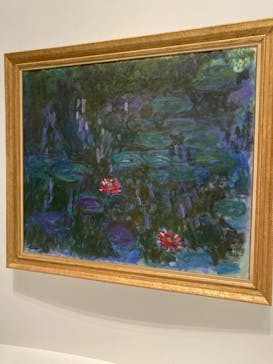 モネ 睡蓮のとき（国立西洋美術館）に投稿された画像（2024/12/10）