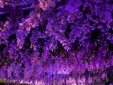 東京メガイルミに投稿された画像（2024/12/10）