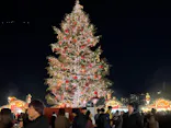Christmas Market in 横浜赤レンガ倉庫 2025に投稿された画像（2024/12/10）