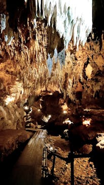 CAVE OKINAWAに投稿された画像（2024/12/10）