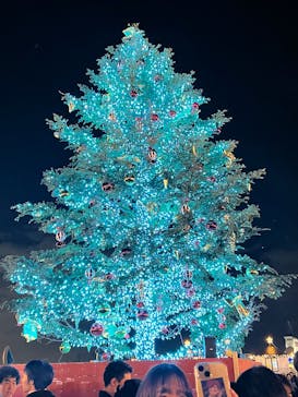 Christmas Market in 横浜赤レンガ倉庫 2025に投稿された画像（2024/12/10）