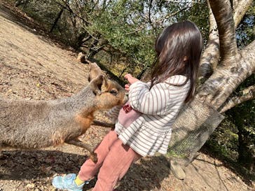 長崎バイオパークに投稿された画像（2024/12/10）