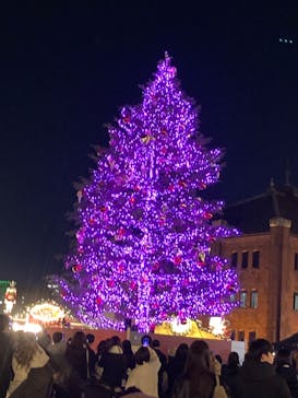 Christmas Market in 横浜赤レンガ倉庫 2025に投稿された画像（2024/12/10）