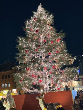 Christmas Market in 横浜赤レンガ倉庫 2025に投稿された画像（2024/12/10）