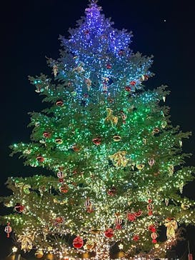 Christmas Market in 横浜赤レンガ倉庫 2025に投稿された画像（2024/12/10）