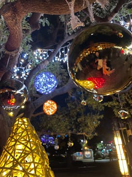 Christmas Market in 横浜赤レンガ倉庫 2025に投稿された画像（2024/12/10）