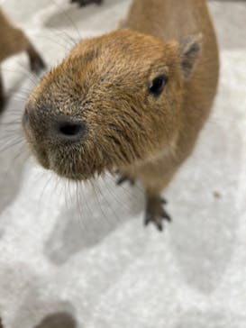 アニタッチ 東京ドームシティに投稿された画像（2024/12/10）