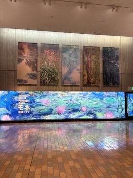 モネ 睡蓮のとき（国立西洋美術館）に投稿された画像（2024/12/10）