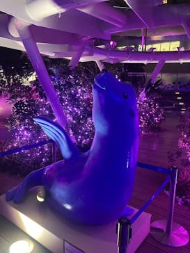 サンシャイン水族館に投稿された画像（2024/12/10）