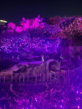 サンシャイン水族館に投稿された画像（2024/12/10）