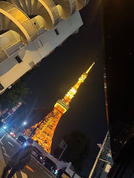 東京タワーに投稿された画像（2024/12/10）