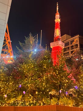 東京タワーに投稿された画像（2024/12/10）