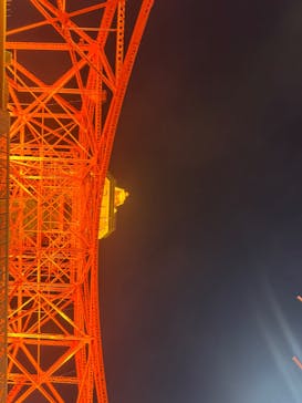 東京タワーに投稿された画像（2024/12/10）