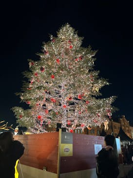 Christmas Market in 横浜赤レンガ倉庫 2025に投稿された画像（2024/12/10）