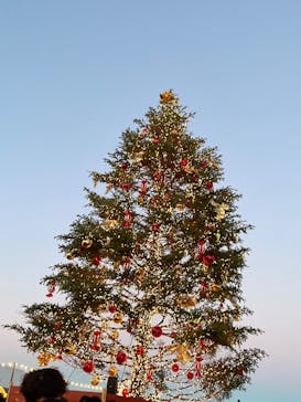 Christmas Market in 横浜赤レンガ倉庫 2025に投稿された画像（2024/12/11）