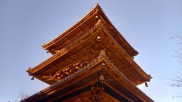 三溪園に投稿された画像（2024/12/11）