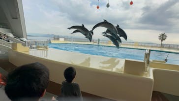 マリンワールド海の中道に投稿された画像（2024/12/11）