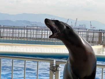 マリンワールド海の中道に投稿された画像（2024/12/11）