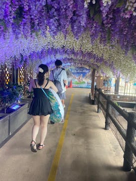 東京サマーランドに投稿された画像（2024/10/22）