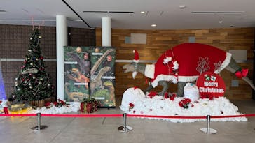 福井県立恐竜博物館に投稿された画像（2024/12/11）