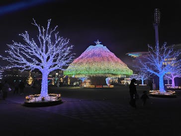 東京メガイルミに投稿された画像（2024/12/11）