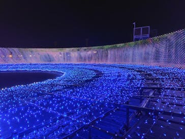 東京メガイルミに投稿された画像（2024/12/11）