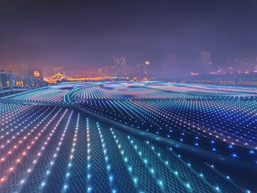 東京メガイルミに投稿された画像（2024/12/11）