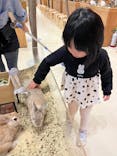 Moff animal cafe イオンモール名取店に投稿された画像（2024/12/11）