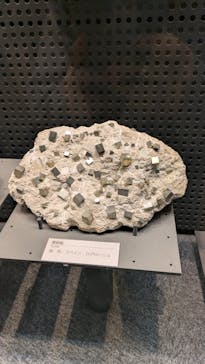 福井県立恐竜博物館に投稿された画像（2024/12/11）