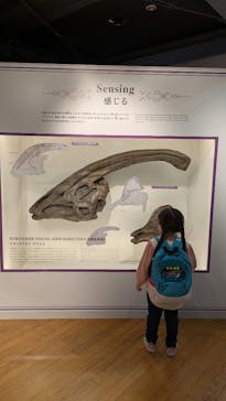 福井県立恐竜博物館に投稿された画像（2024/12/11）