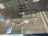 特別展「鳥 ～ゲノム解析が解き明かす新しい鳥類の系統～」国立科学博物館に投稿された画像（2024/12/11）