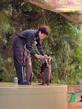 マクセル アクアパーク品川に投稿された画像（2024/12/11）