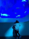 大分マリーンパレス水族館 「うみたまご」に投稿された画像（2024/12/11）