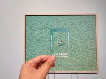 YOSIGO 写真展 Holiday Memories - 旅の瞬間 -に投稿された画像（2024/12/11）