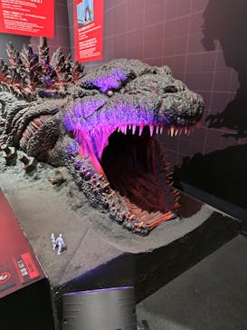 ニジゲンノモリに投稿された画像（2024/12/11）